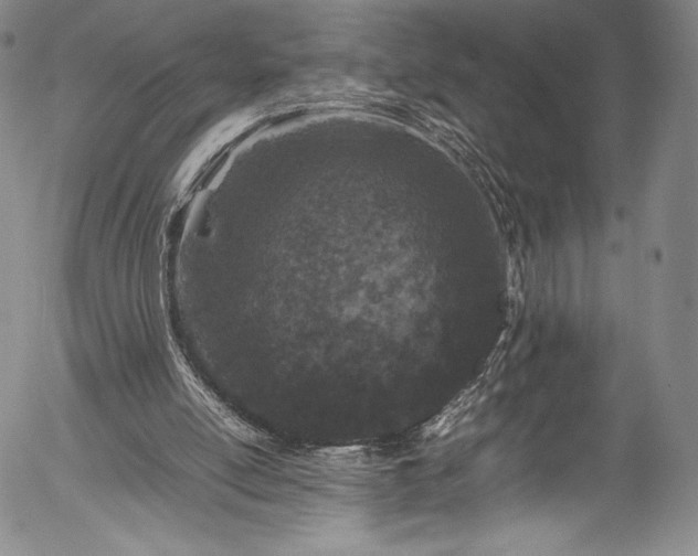 X0000054390054200508011304