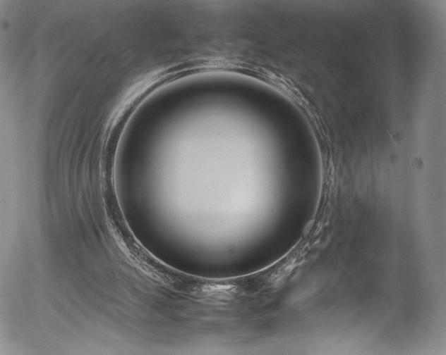 X0000054390055200508011304