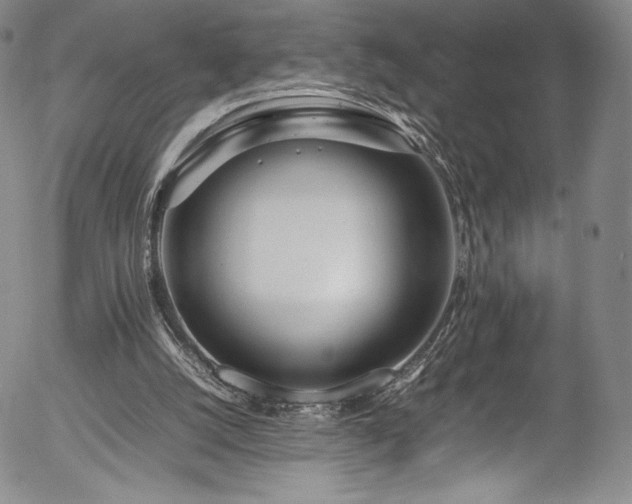 X0000054390056200508011304