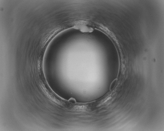 X0000054390057200508011304