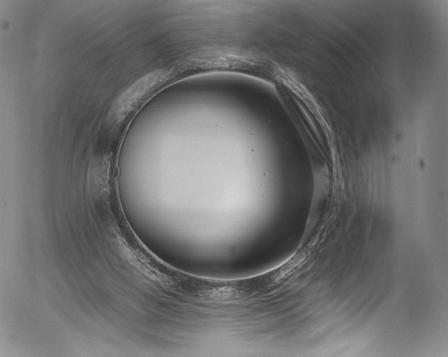 X0000054390058200508011304