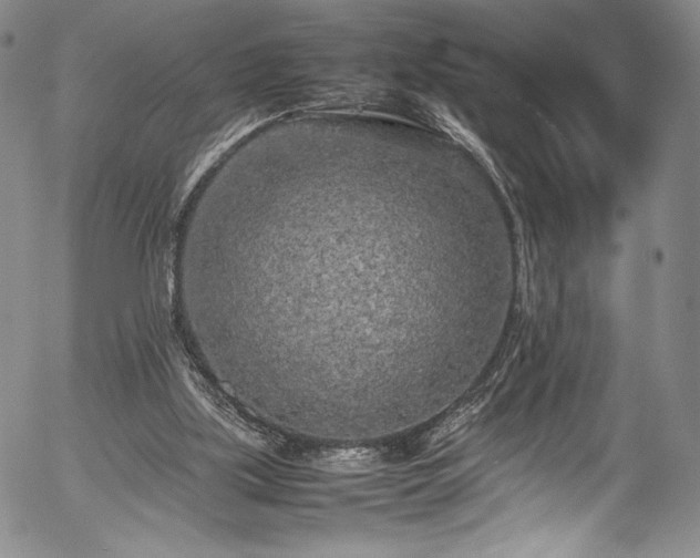 X0000054390059200508011304