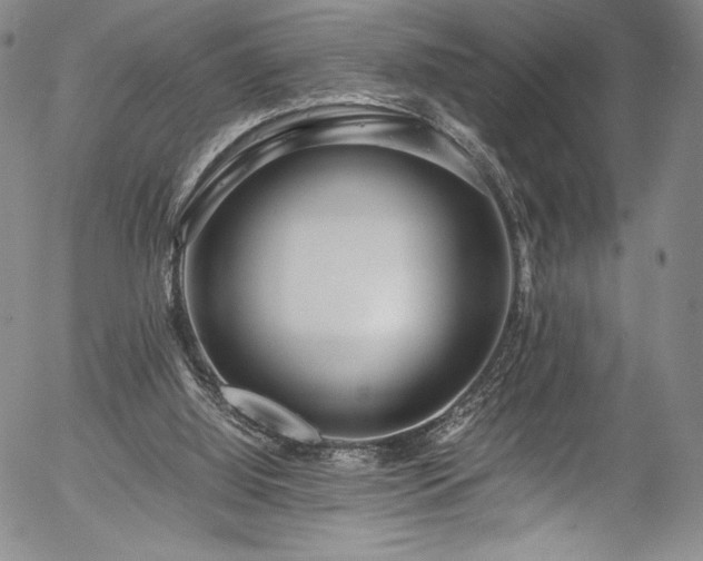 X0000054390060200508011304