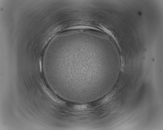 X0000054390061200508011304