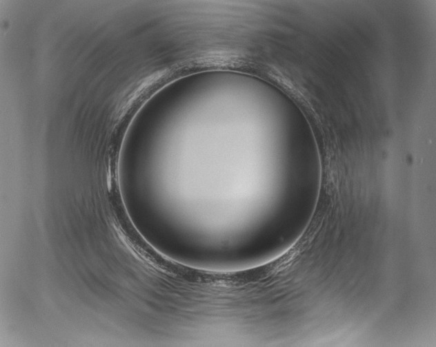 X0000054390062200508011304