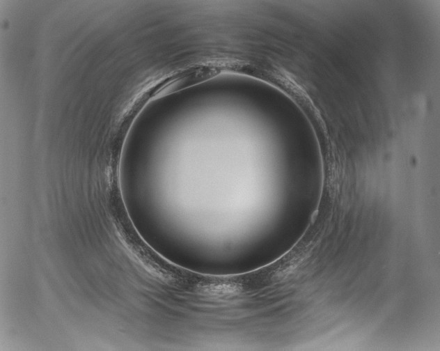 X0000054390063200508011304