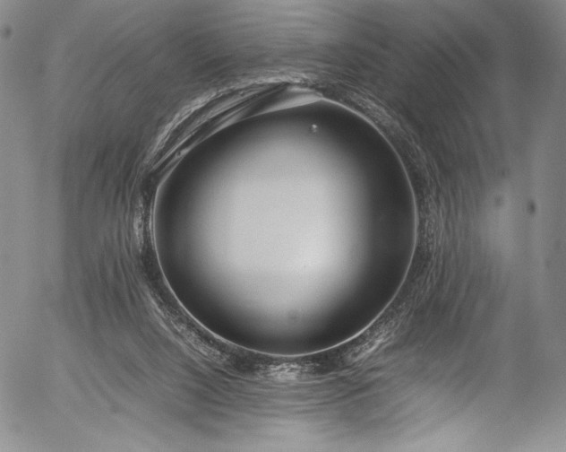 X0000054390064200508011304