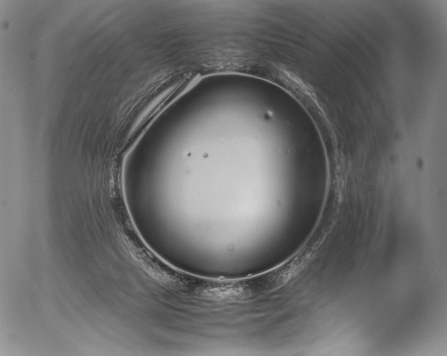 X0000054390065200508011304