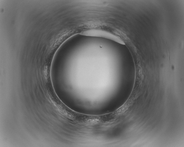 X0000054390066200508011304