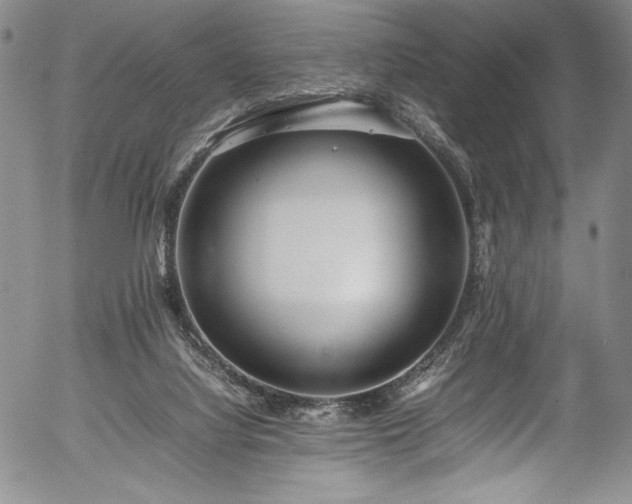 X0000054390068200508011304