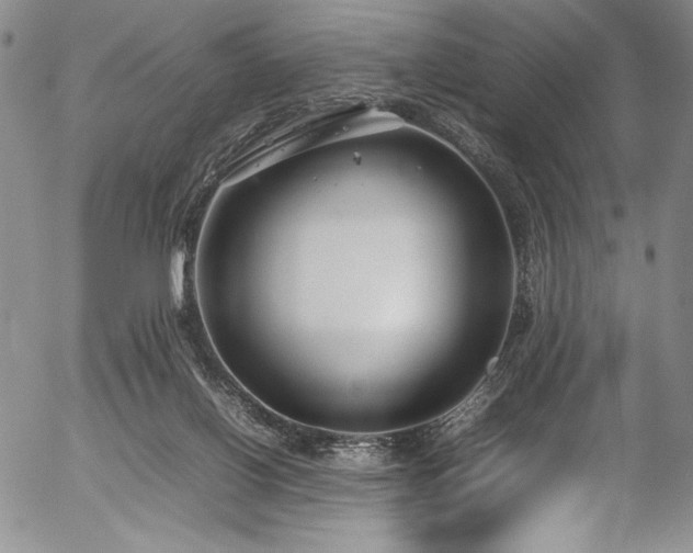 X0000054390070200508011304