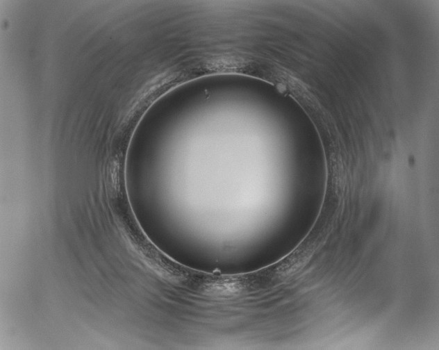 X0000054390071200508011304