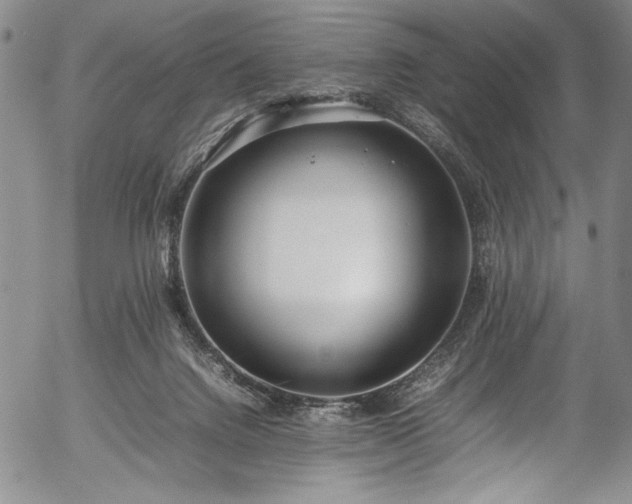 X0000054390072200508011304