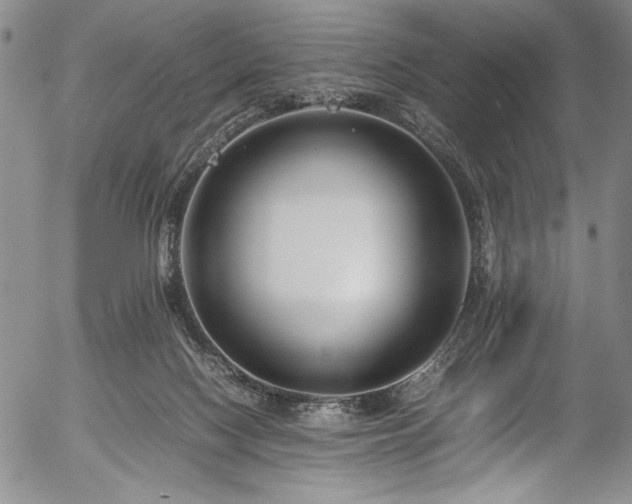 X0000054390074200508011304