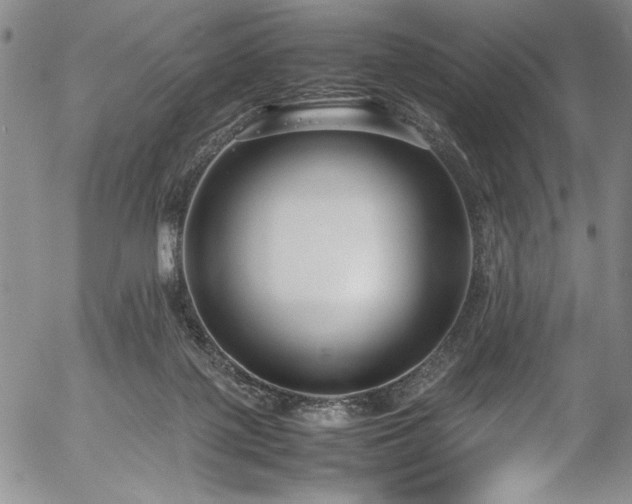 X0000054390075200508011304