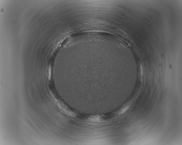 X0000054390076200508011304