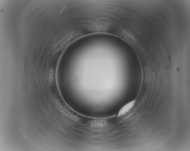 X0000054390077200508011304