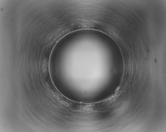 X0000054390078200508011304