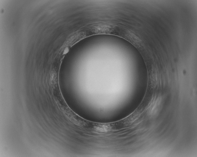 X0000054390079200508011304