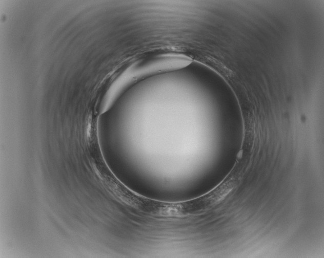 X0000054390080200508011304