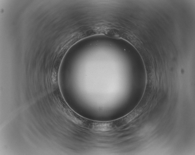 X0000054390081200508011304