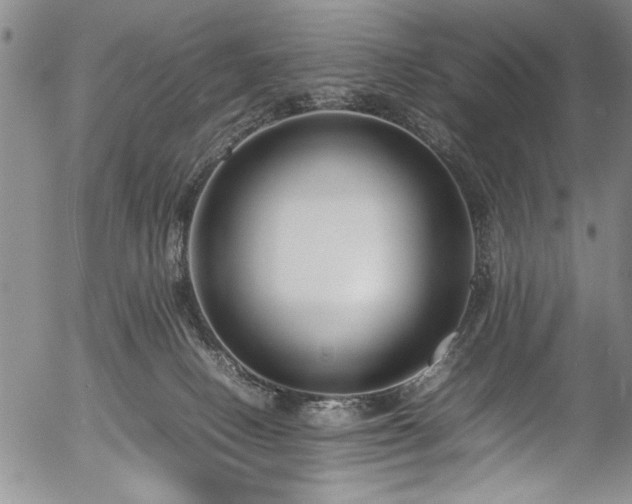 X0000054390082200508011304