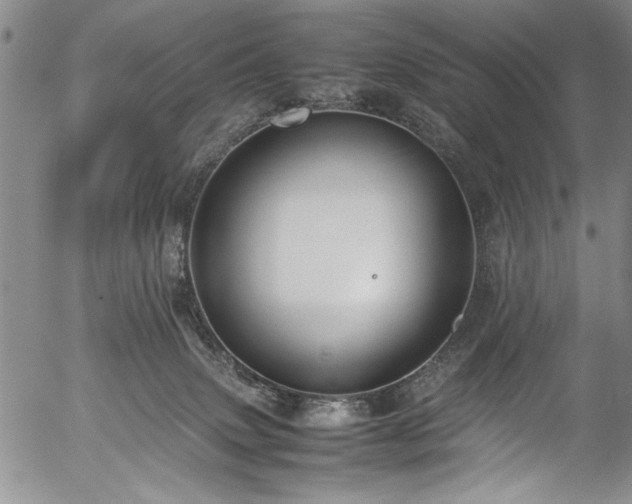 X0000054390083200508011304