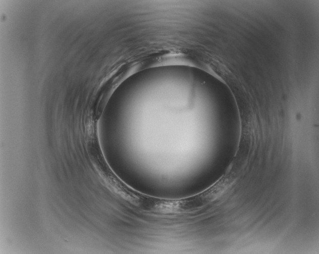 X0000054390084200508011304