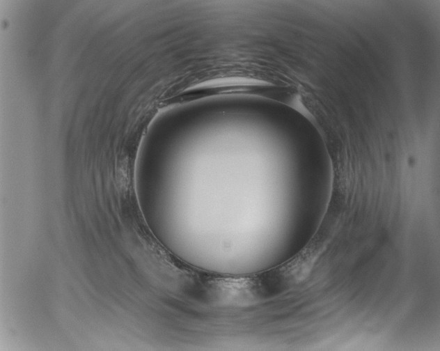 X0000054390085200508011304