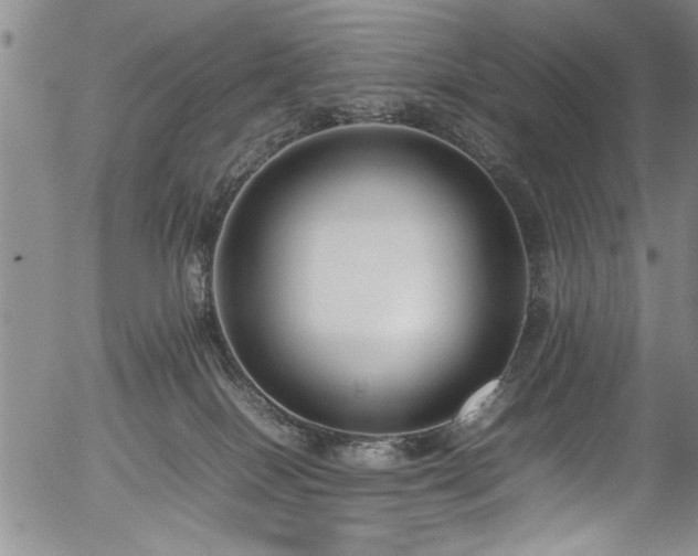 X0000054390086200508011304