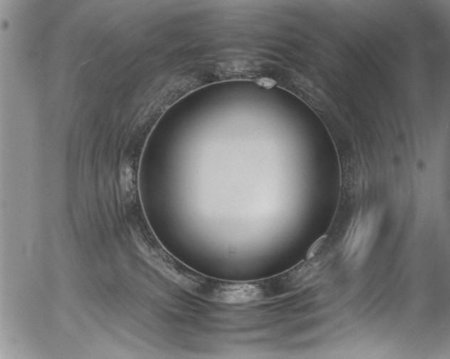 X0000054390087200508011304