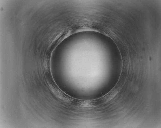 X0000054390088200508011304