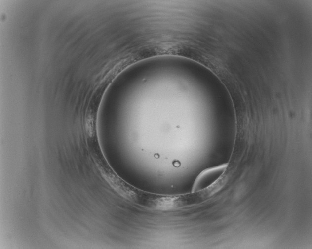 X0000054390090200508011304