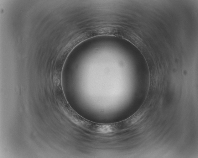 X0000054390091200508011304