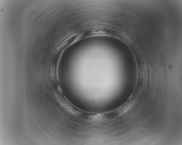 X0000054390092200508011304