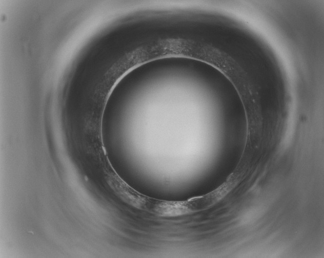 X0000054390093200508011304