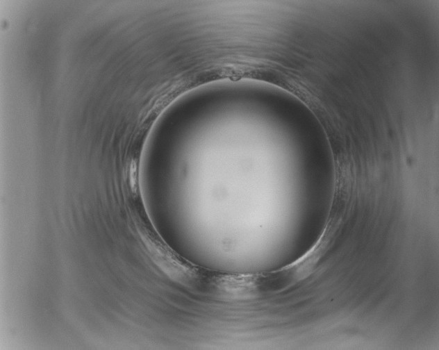 X0000054390094200508011304