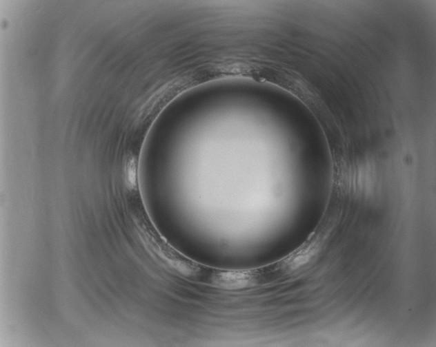 X0000054390095200508011304