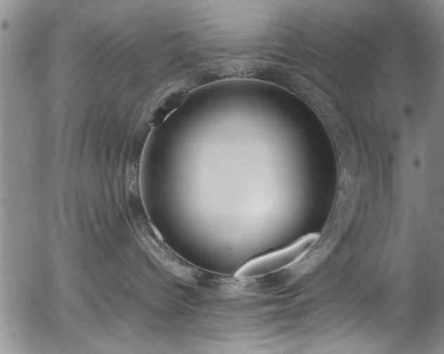 X0000054390096200508011304