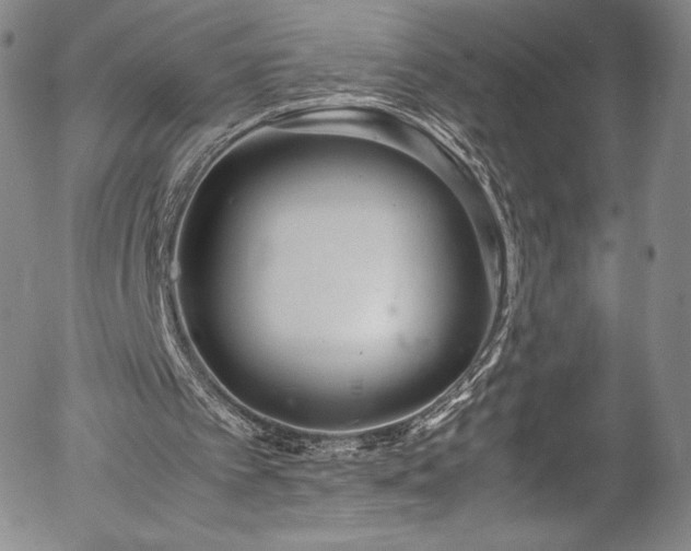 X0000054390097200508011303