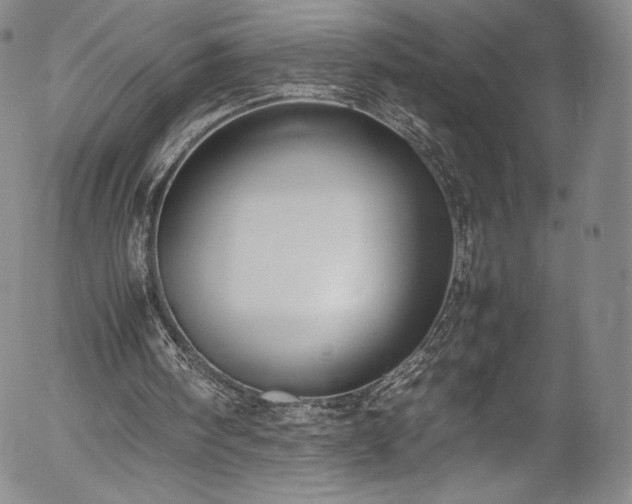 X0000054390098200508011303