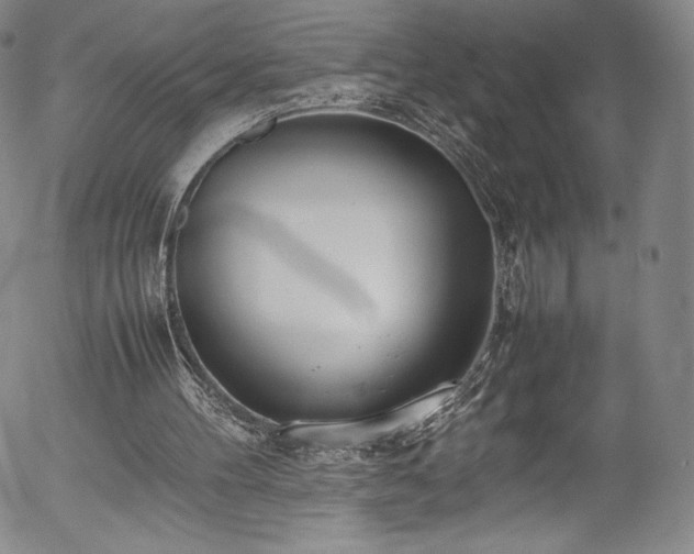 X0000054390100200508011303