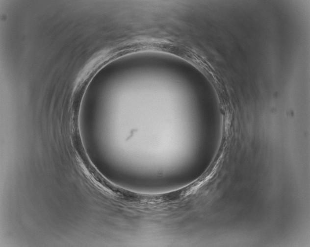 X0000054390101200508011303