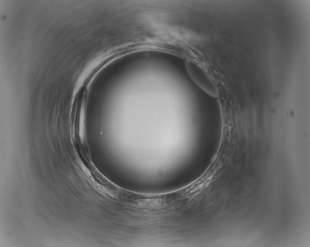 X0000054390102200508011303