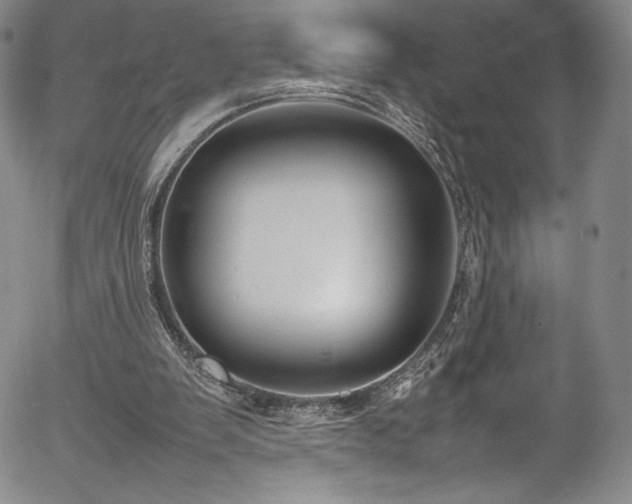 X0000054390103200508011303