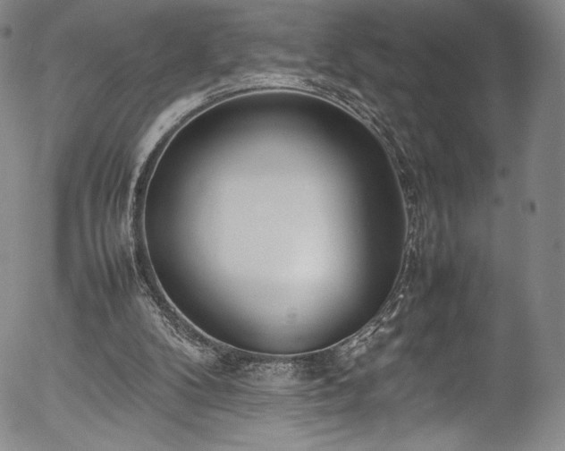 X0000054390104200508011303