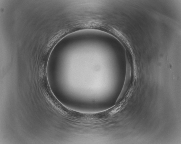 X0000054390105200508011303