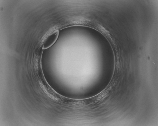 X0000054390106200508011303