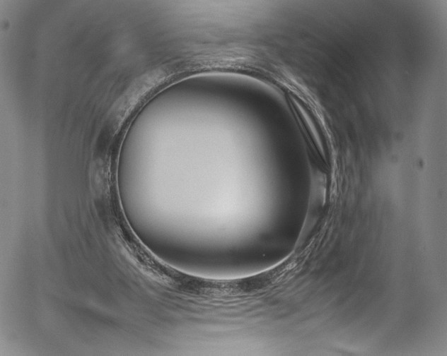 X0000054390107200508011303