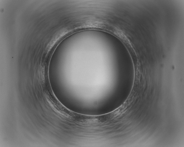 X0000054390108200508011303